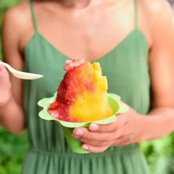 Dessert Makers Great Northern 32 Oz. Blue Countertop Snow Cone Machine 6 Dessert Makers Great Northern 32 Oz. Blue Countertop Snow Cone Machine -Costway Shop blue great northern snow cone machines hwd630232 44 1000