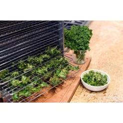 Food Processing Weston Pro 1000 Stainless Steel 10-Tray Food Dehydrator -Costway Shop stainless steel weston dehydrators 74 1001 w 44 1000