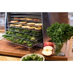 Food Processing Weston Pro 1000 Stainless Steel 10-Tray Food Dehydrator -Costway Shop stainless steel weston dehydrators 74 1001 w fa 1000