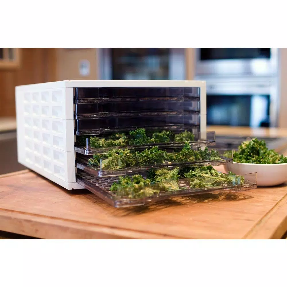 Food Processing Weston 6-Tray White Food Dehydrator With Temperature Control 4 Food Processing Weston 6-Tray White Food Dehydrator With Temperature Control - Image 2